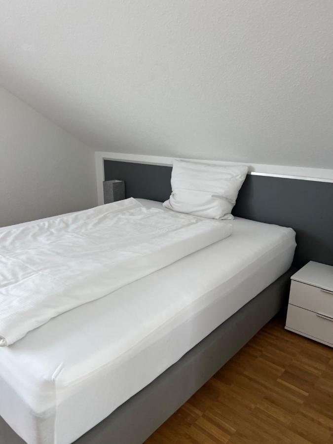 Aparthotel New Age Boardinghaus Bad Wimpfen Extérieur photo