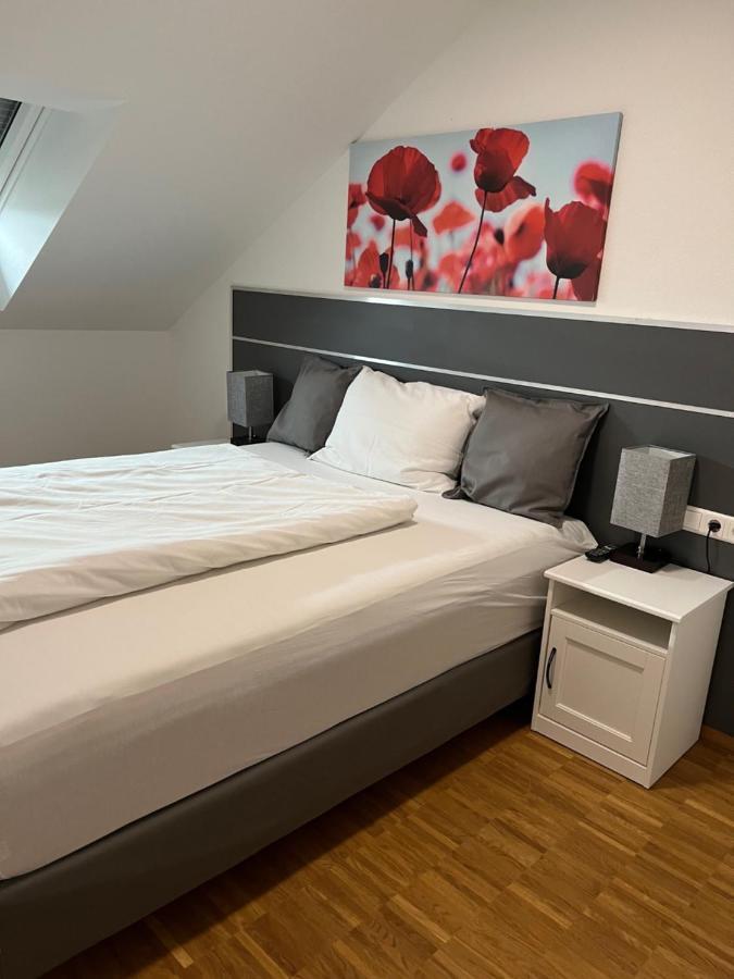 Aparthotel New Age Boardinghaus Bad Wimpfen Extérieur photo